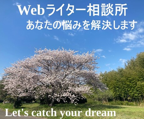 初心者向けWebライターの疑問を解決いたします マンツーマンで、より分かりやすくあなたの悩みに寄り添います イメージ1