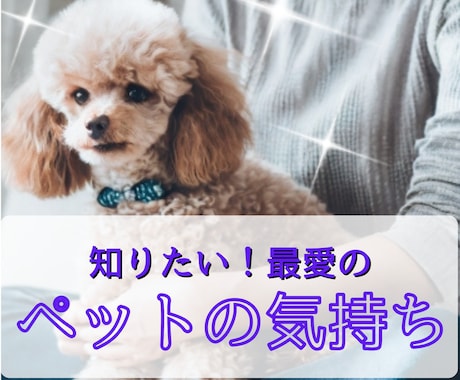 愛するペットの本音を知りたい！サクサク鑑定します 【先着10名様！】実績4600件のスピード鑑定♪ イメージ1