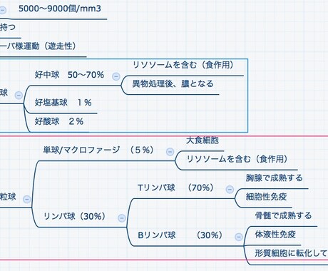 看護師目指してる方！頭に入りやすい勉強法教えます 脱力系！解剖生理学！楽しくわかりやすく解説します イメージ2