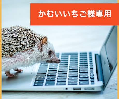 かむいいちご様の専用サービスになります 専用ですので、かむい