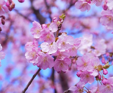 社会福祉士の効率の良い勉強法お教えます 段取りで大きく変わる。計画の立て方を中心にお伝えします。 イメージ1