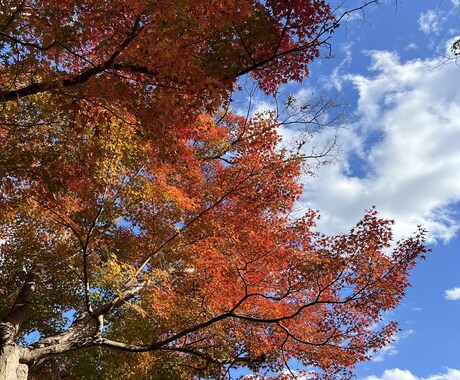チャット内でひとことアドバイスをいたします 現役大学生の視点でアドバイスさせていただきます イメージ1