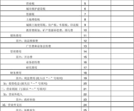 中国会社の財務諸表を日本語に直します 日中両方の経理資格所有者がBS、PLなどを翻訳します イメージ2
