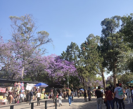 メキシコについて相談にのります 現地での入籍や出産や、メキシコ人との恋愛について イメージ1