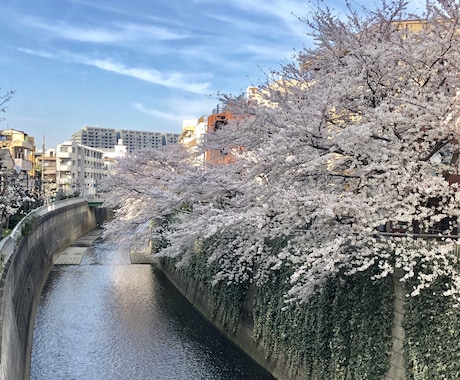 今しんどい方！悩みに寄り添い心を軽くします ➖少しでも心が穏やかになるよう寄り添います イメージ1