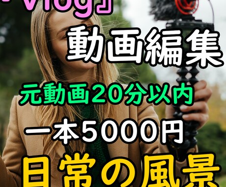 Vlog動画をおしゃれに編集します （YouTube・SNS向け）元動画20分以内 イメージ1