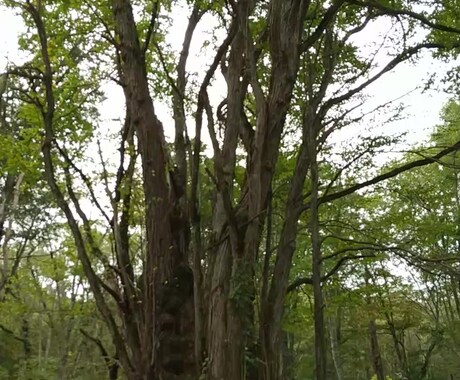 元患者がうつ・パニック障害の治療法を教えます 一分でわかるうつ・パニック障害 不安神経症の原因と治療法 イメージ1