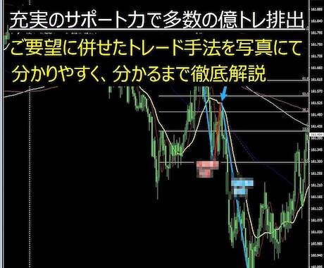 FX張付き無しの手法をコンサルタントします 張り付いても勝てなかった、成果が出ない皆様へ至極のトレードを イメージ2