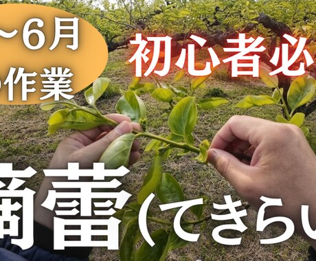 YouTubeのサムネ制作します 【実績あり】初心者向けYouTubeサムネをCanvaで制作 イメージ2