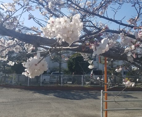 どんなお話でも真剣に聞かせて頂きます 特に話したいことないけど、誰かと会話したいでもかまいません。 イメージ1
