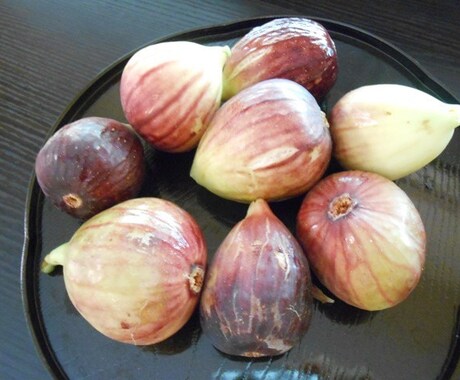 あなたに合ったリバウンドを防ぐダイエットを考えます リバウンドしにくいダイエット法は食事から少しづつ改善へ!! イメージ1