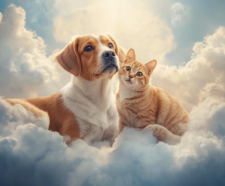 ペットロスに陥っている方へ、ヒーリングをいたします アニマルコミュニケーターが飼い主さん向けにヒーリングをします イメージ2