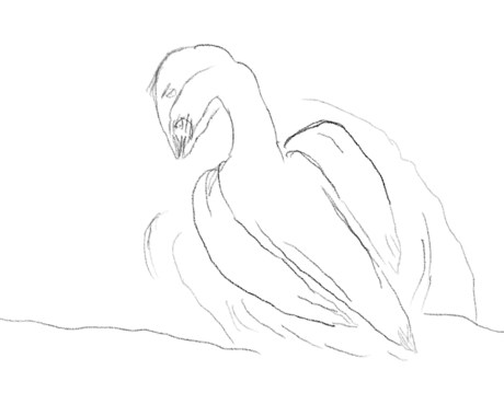 子供も絵を書くイメージを持ってます 鶴の絵を色塗りあえてしてないものです イメージ2