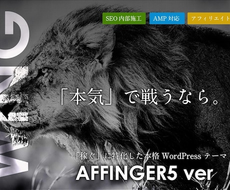 AFFINGER使用のホームページのお手伝いします AFFINGERを購入したが、よく分からない方向け イメージ1