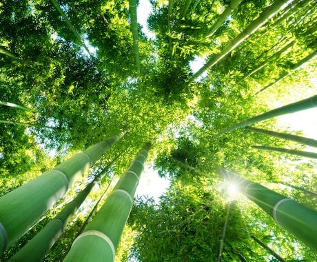 東洋お誕生日スペシャル※※一年の流れを占います ～素敵な一年にするために。意識的に行動していく指針～ イメージ2