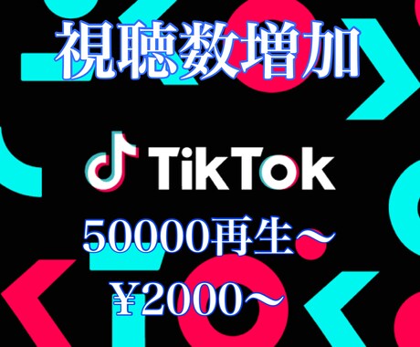 Tiktokの視聴数を増やします 多国籍のフォロワーに宣伝致します！ イメージ1