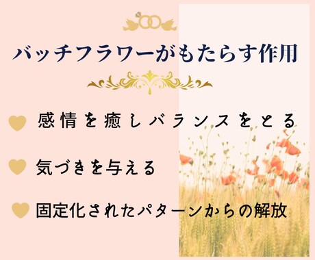バッチフラワー✨プライベートレッスン✨教えます 自然からの贈り物✨植物の波動を使った心を癒し整える自然療法✨ イメージ2