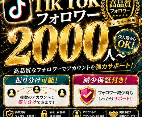 TikTokフォロワー＋2000人増加します 高品質！2000円TikTokオプションで10000人増加 イメージ1