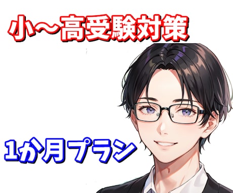 小中高の受験対策【1ヶ月プラン】学習指導します 個別指導塾で副室長兼講師として指導経験有！【60分×4回】 イメージ1