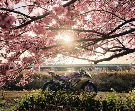 愛車の魅力を最大限に。出張撮影します 貴方の宝物をスマホでは残せない1枚に イメージ1