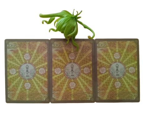 神道の神様カードを用いて運勢など占います 人生のヒント、お悩み、高次元からのメッセージ イメージ1