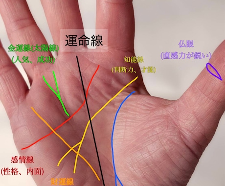 手のひらから、貴方の未来を深部までお伝えします 前向きな人生を歩めるように、私がお手伝いさせていただきます。 イメージ2