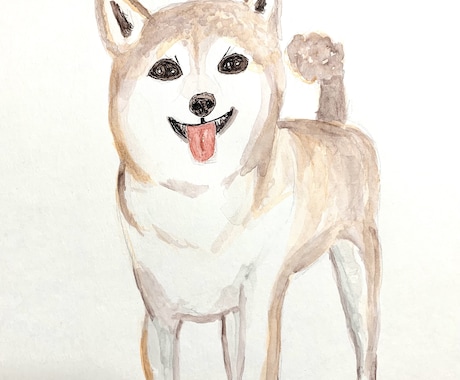 ふんわり愛犬の似顔絵心を込めて描きます 水彩色鉛筆で優しくふんわりタッチ。原画送ります！ イメージ1