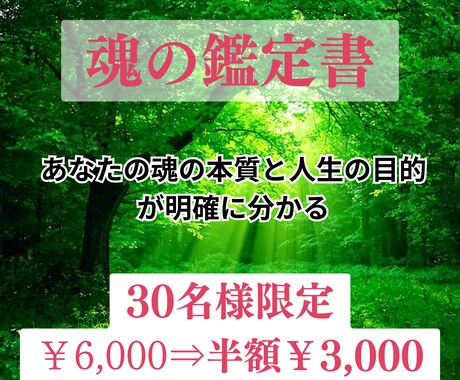 魂の声を紐解く～スピリチュアル鑑定書～作成ます あなたの魂の本質と使命を明確化します イメージ1