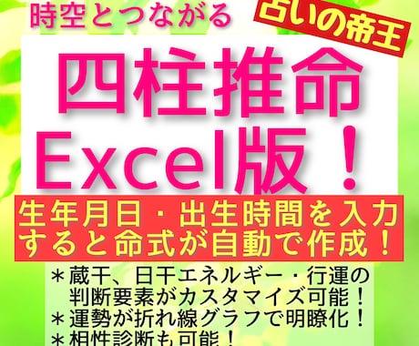 自動で命式作成！四柱推命Excelソフト販売します 蔵干、日干エネルギー・行運の判断要素等がカスタマイズ可能！ イメージ1