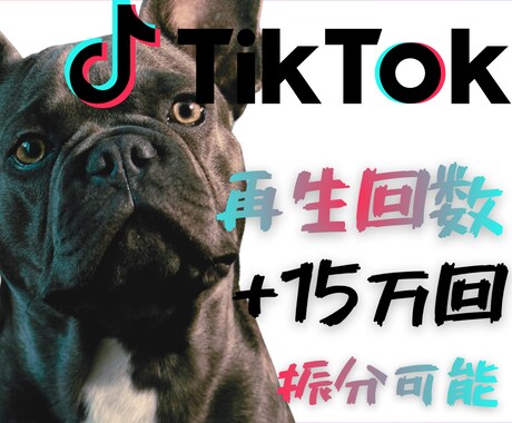 Tiktok再生回数15万回拡散します プロの拡散力で、あなたの魅力を15万人に。 イメージ1