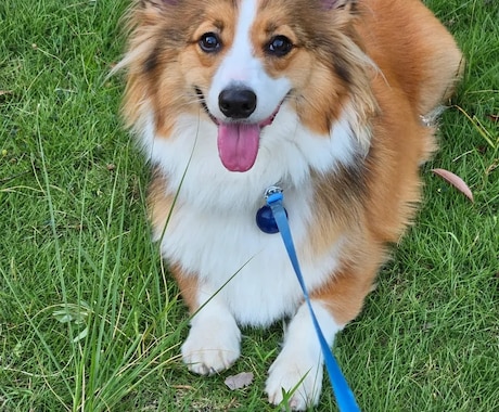 お写真からワンちゃんのモノクロ似顔絵描きます お二人までお値段そのまま！データのみのお渡しなので早い！ イメージ2