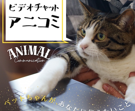 アニマルコミュニケーションで動物の気持ちを聞きます ペットちゃんがあなたに伝えたいことがあるようです。 イメージ1