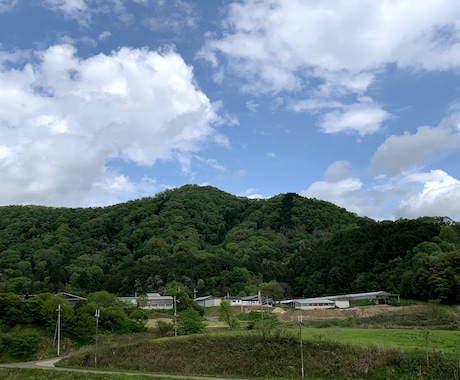 あなたの心の声をお聞きします 恋愛、子育て、人間関係、どんなことでもお話し下さい イメージ1