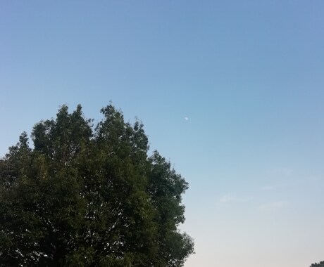 コロナならではのお悩みをお聞きします 失職、雰囲気に馴染めない、どう相談したらいいかわからない時に イメージ1