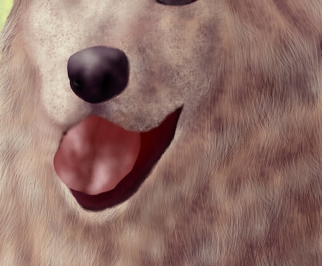 犬猫のイラスト描きます 肌や毛並み含む全ての質感に自信あり イメージ2