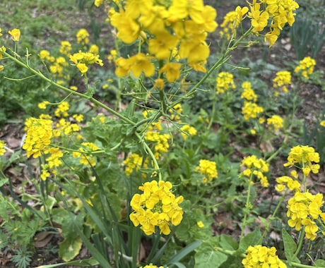 高次の存在からのメッセージをお伝えします 高次の存在からのメッセージをお伝えします。 イメージ1