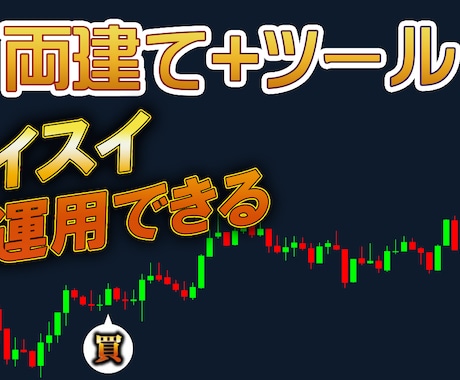 FXの両建て錬金術手法を教えます 両建てトレードが最強かもしれない件 イメージ2