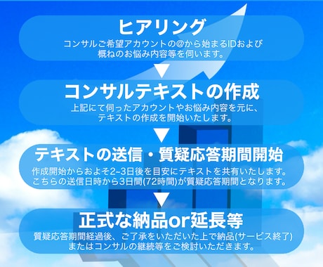VTuber専用！Twitter,Xコンサルします 準備中様やVライバー様も◎必要な運用等３日間解説！質疑応答◎ イメージ2
