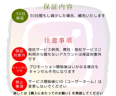 インスタ★海外フォロワーを＋3000人増やします Instagram★高品質★安心30日保証★豪華特典★最安 イメージ2