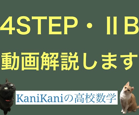 28年間の指導実績！4STEPIIB動画解説します １ヶ月定額！数学が苦手な方、数学を考える力を身につけたい方へ イメージ1