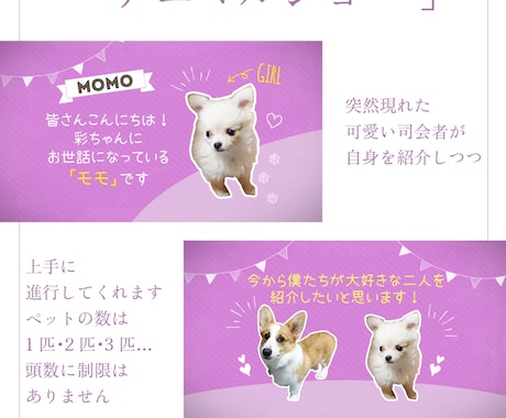 プロフィール・アニマルショーはペットが大活躍します 22000組のムービー制作の実績で高クオリティ・低コスト イメージ2