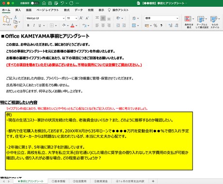 ご自身で更新可能なライフプラン表を作成・提供します 【ココナラ初】ライフプランソフトのアカウントも無償でご提供♪ イメージ2