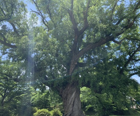 精神科訪問看護師がお悩みに答えます メンタルでお困りの方へあなたの心に寄り添います イメージ1