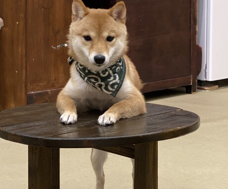 どんな悩み相談でも受け付けます 私と話せば心のモヤモヤも消えるはず!! イメージ1