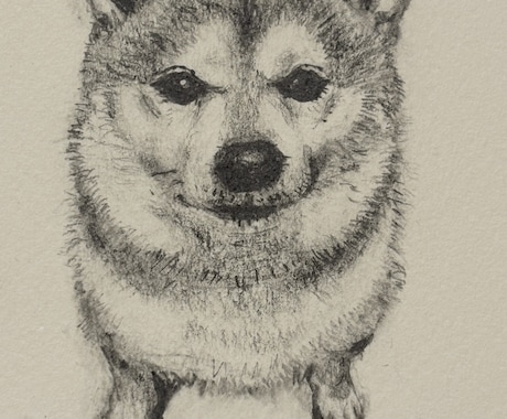 ペットの似顔絵描きます 愛ペットの似顔絵いかがですか？原画お送ります！ イメージ1