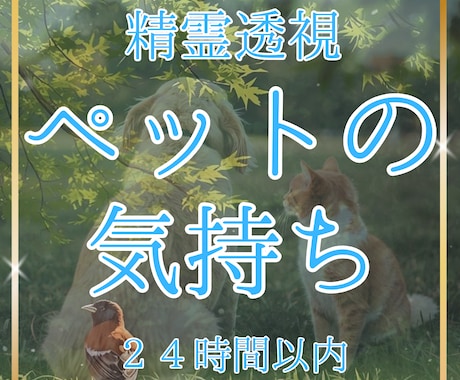 ペットの気持ちリーディング｜精霊透視します あなたのペットが伝えたい気持ちとは イメージ1