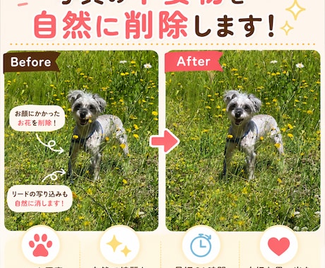 大切な写真の不要物を削除します 最短24時間！ペット写真も大歓迎◎ＳＮＳ用にも！ イメージ1