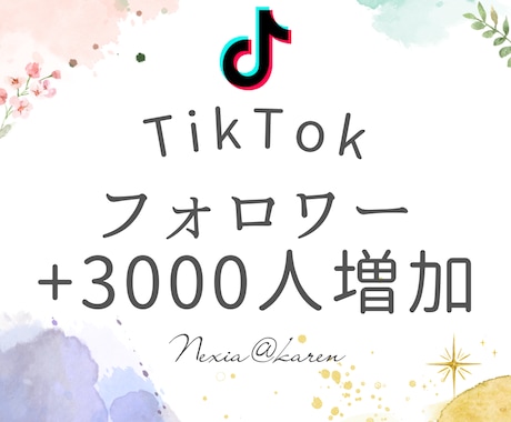 TikTokフォロワー3000人宣伝で増やします お得にコスパよくティックトックのフォロワーを増加成長させよう イメージ1