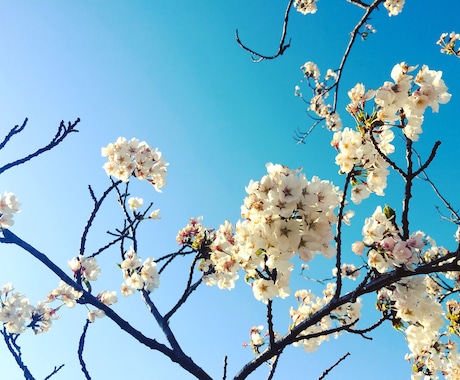 あなたの話お聞きします 話仲間がほしい、話したい気分だなって時、電話してください イメージ1