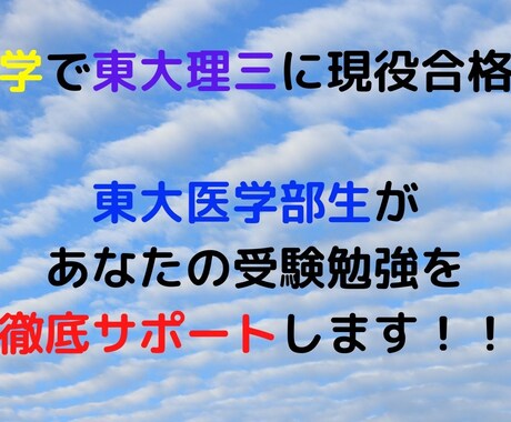 東大医学部生があなたの受験勉強を徹底サポートします 勉強計画のサポートや質問回答、解答添削を行います。 イメージ1